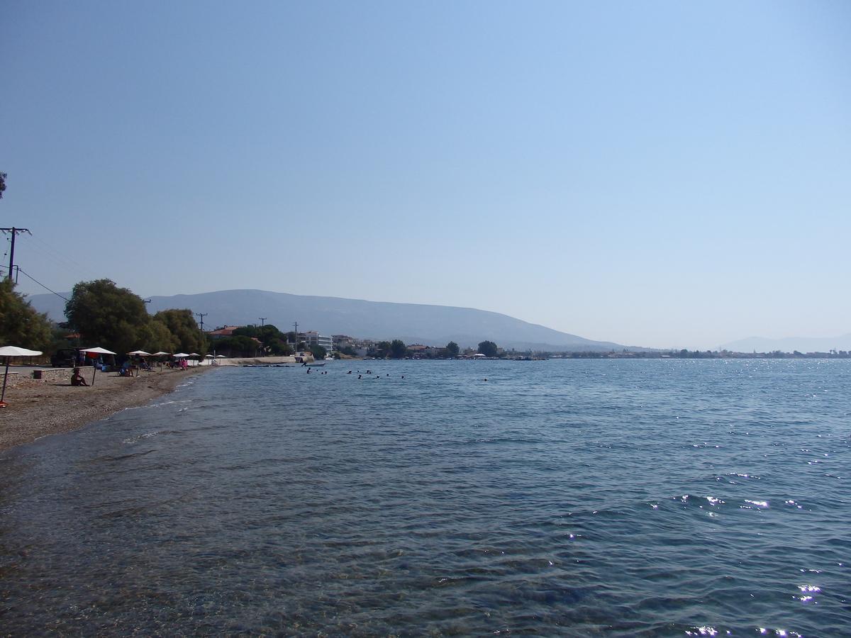 Stefania Beach Hotel Evia Exterior photo